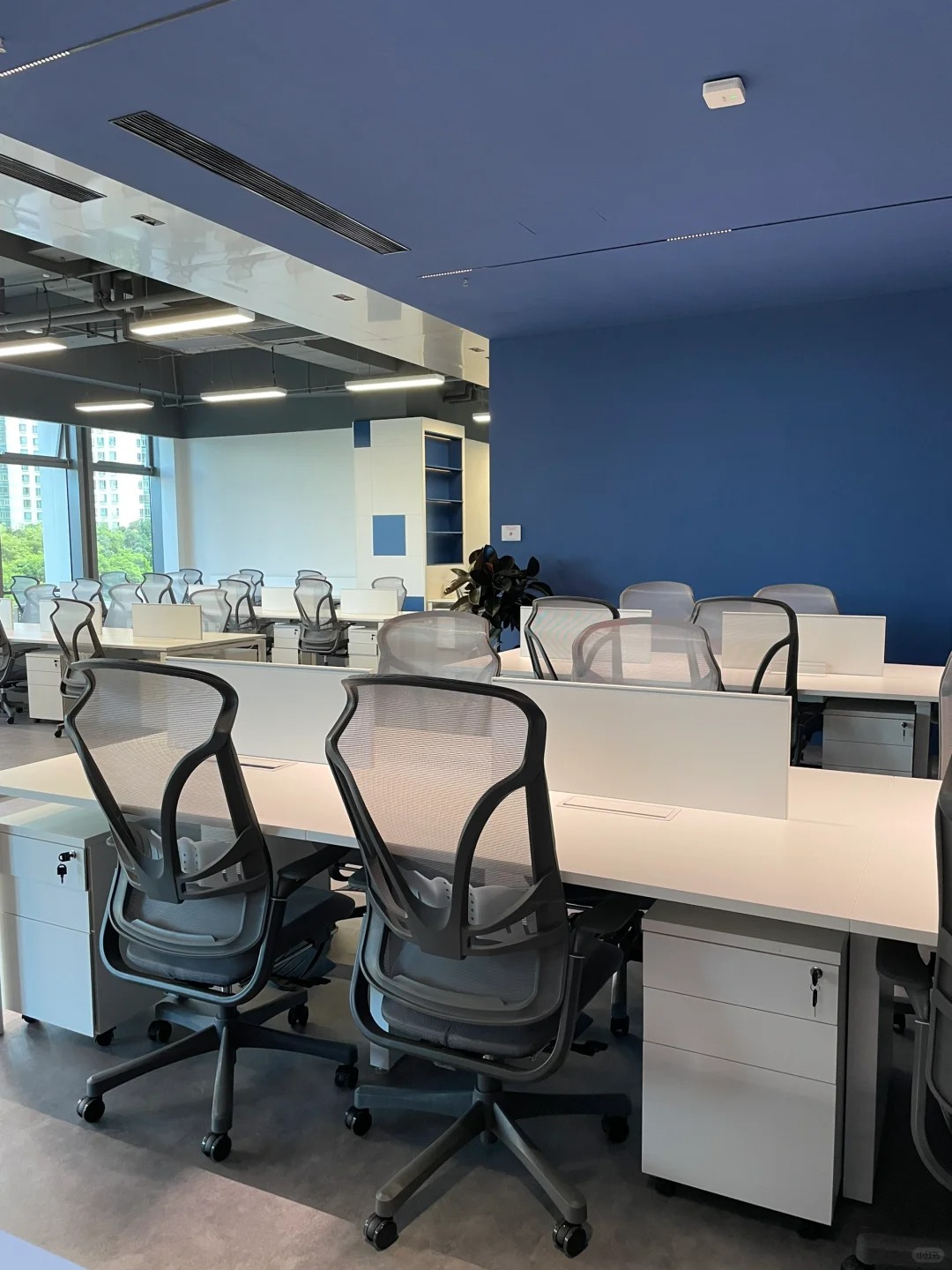 Cadeiras de mesa máximas para escritório
