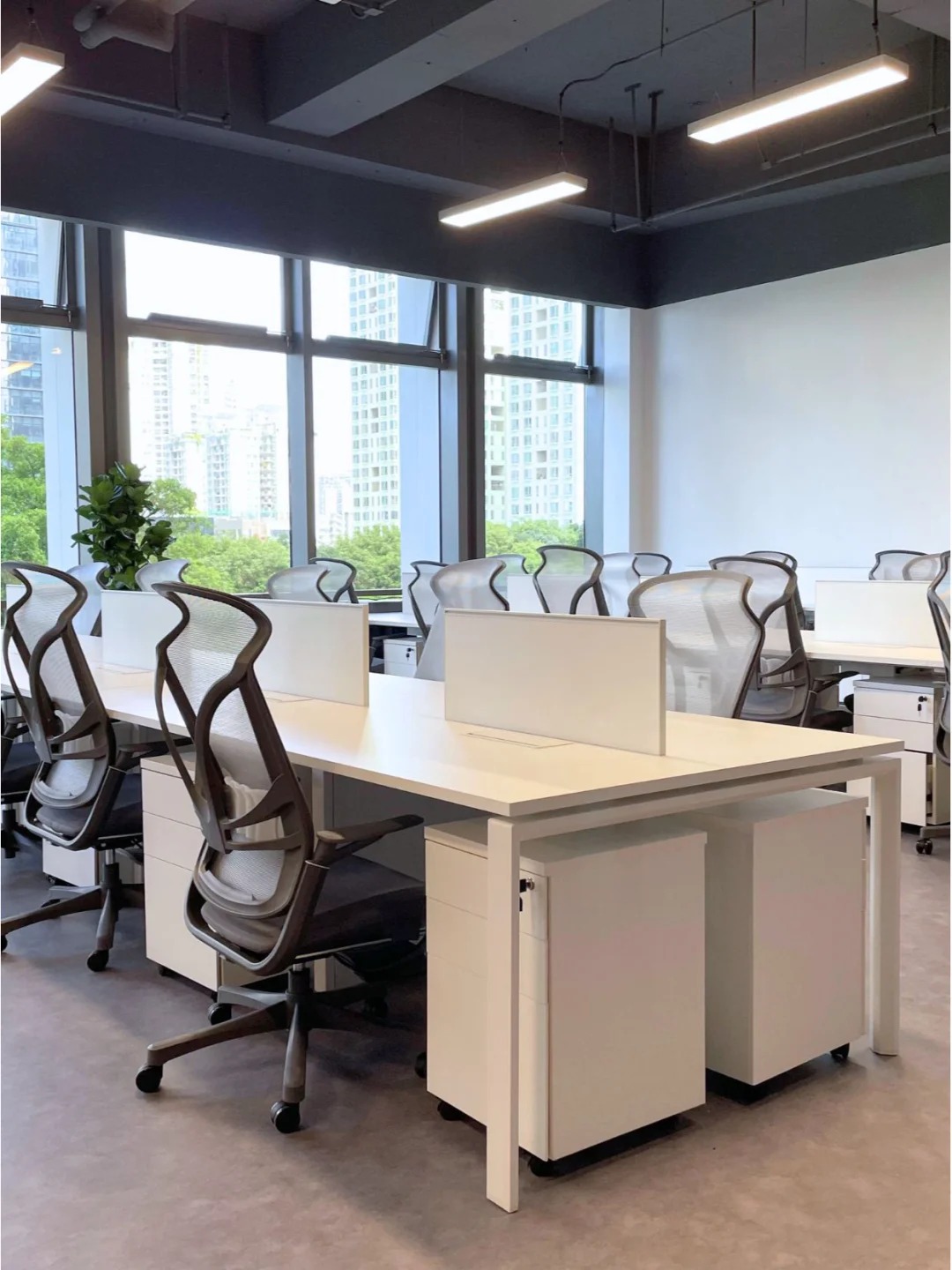 Cadeiras de mesa máximas para escritório